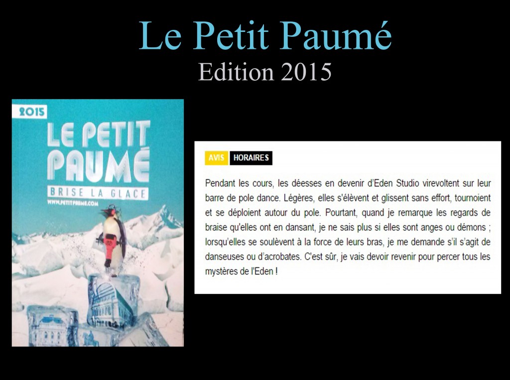 visuel petit paumé 2015